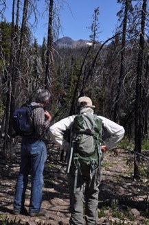 the trail starts in the 2004 burn, finding green again in about 45 minutes